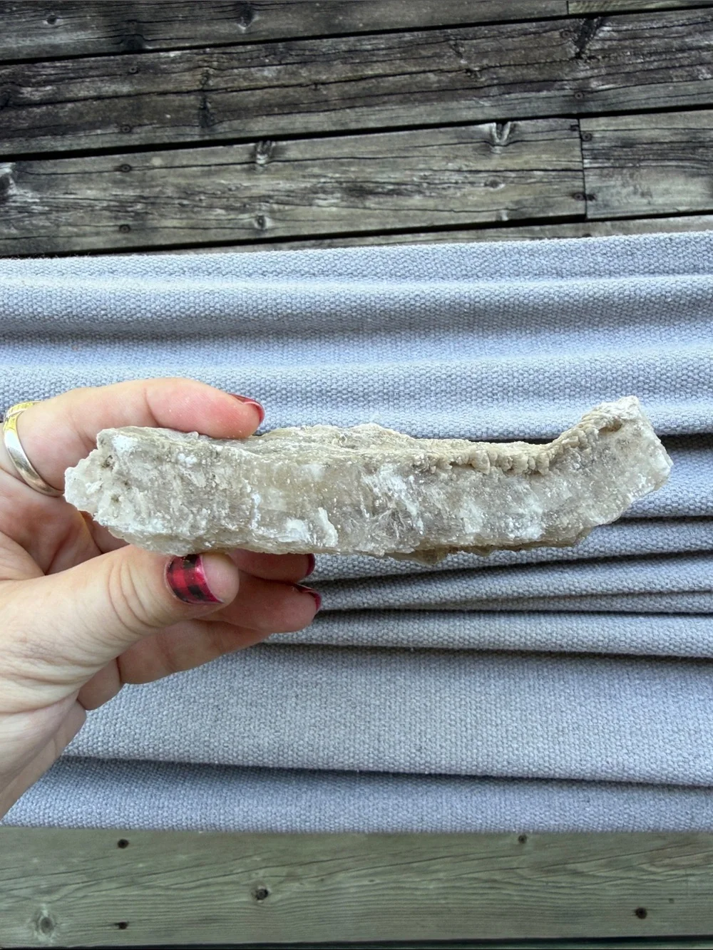 Raw •Selenite• Gypsum Crystal Mineral Specimen Natural Formation